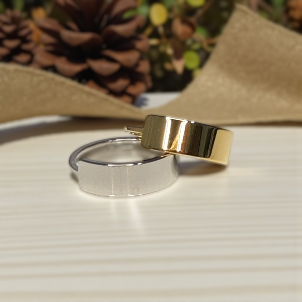Horizontal Bar Ring